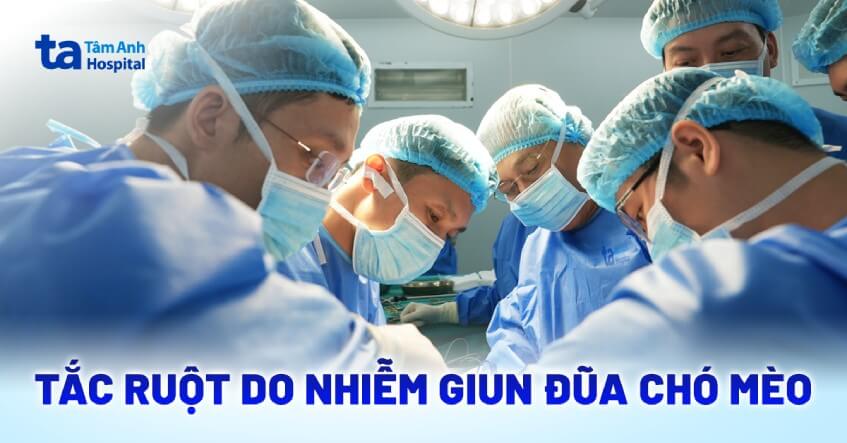 tắc ruột do nhiễm giun chó mèo