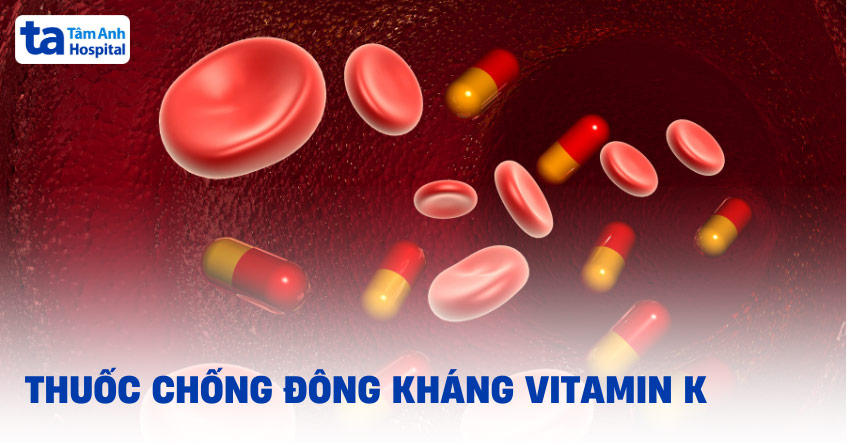 5 loại thuốc chống đông kháng vitamin K phổ biến thường dùng