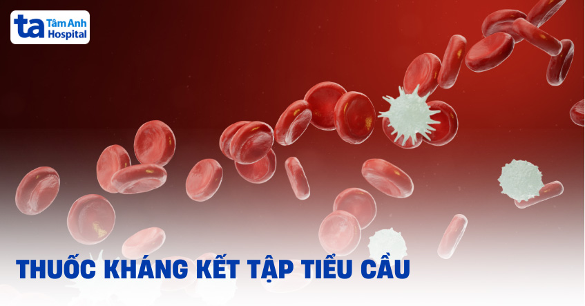 các loại thuốc chống kết tập tiểu cầu