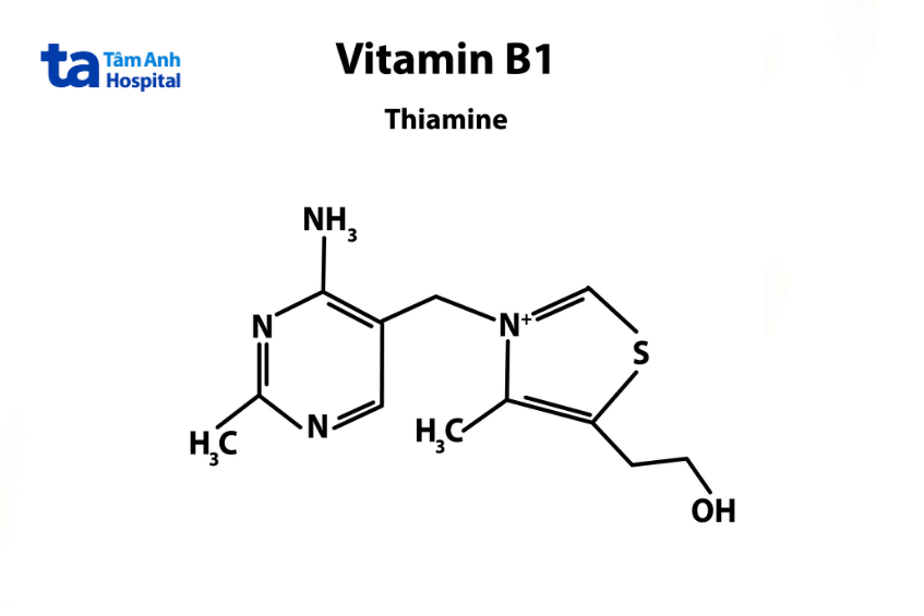 Vitamin B1 (Thiamine)