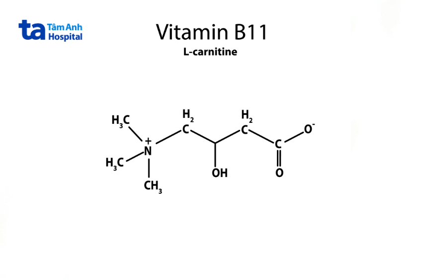 Vitamin B11 (Salicylic acid)