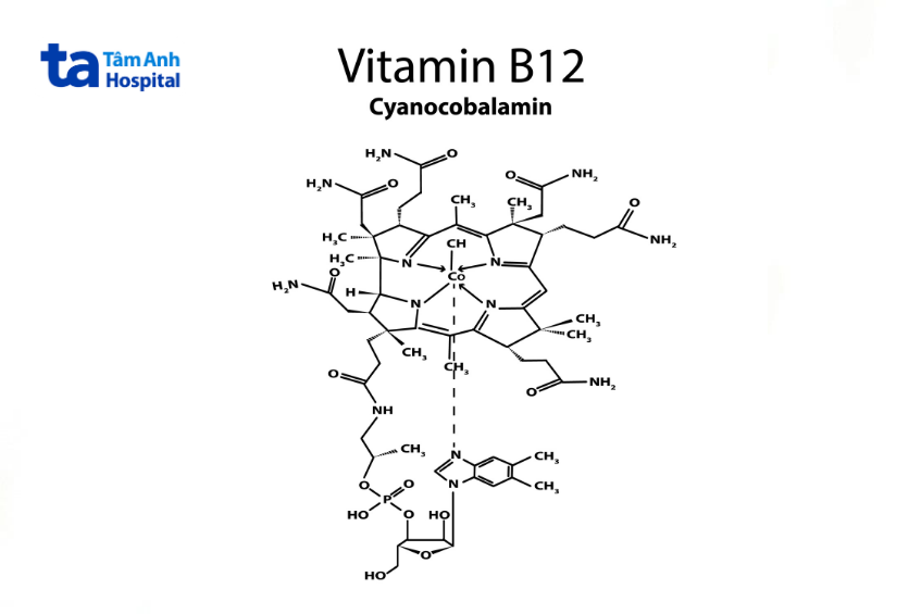 Vitamin B12 (Cobalamin)