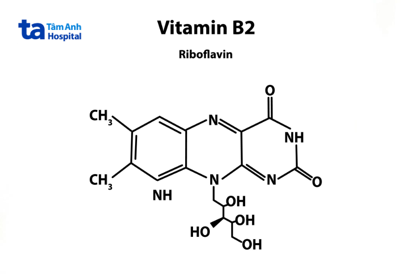 Vitamin B2 (Riboflavin)