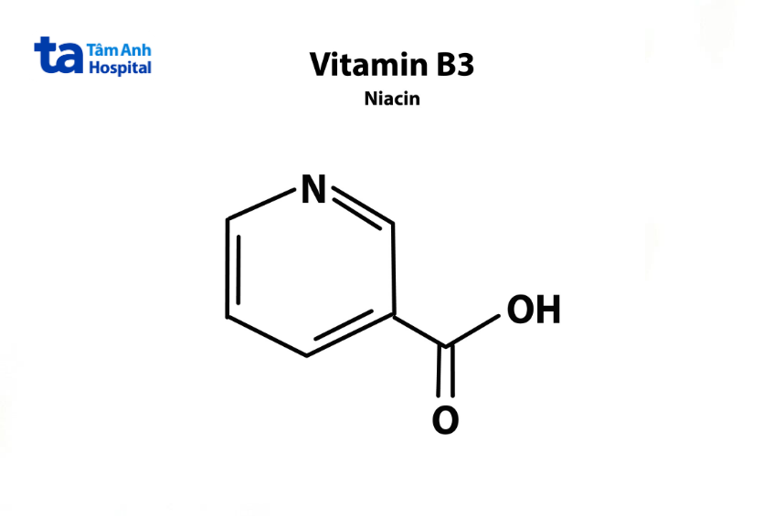 Vitamin B3 (Niacin)