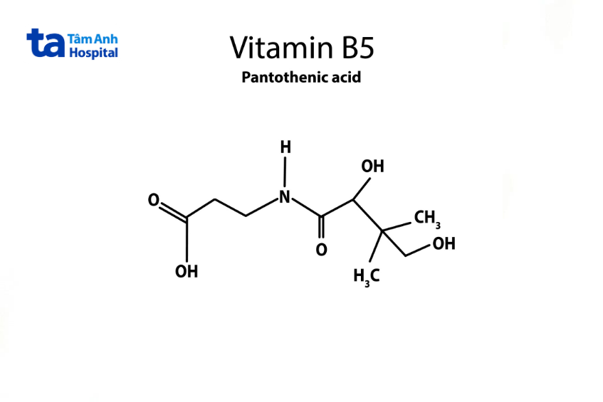 Vitamin B5 (Pantothenic acid)