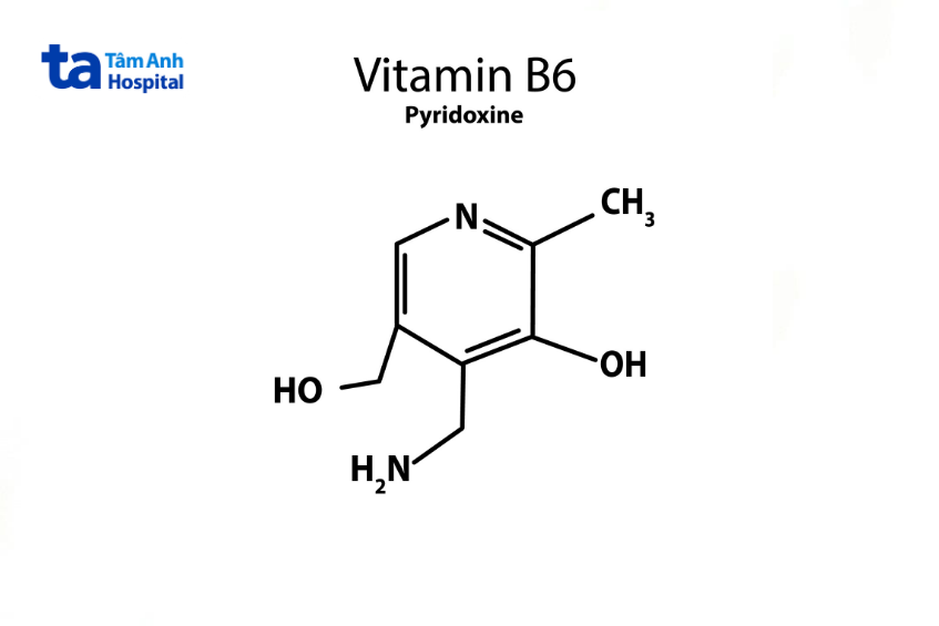 Vitamin B6 (Pyridoxine)