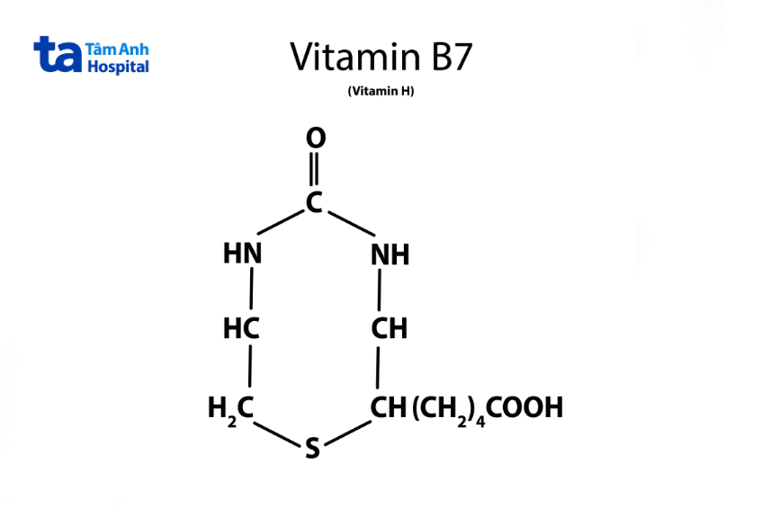 Vitamin B7 (Biotin)