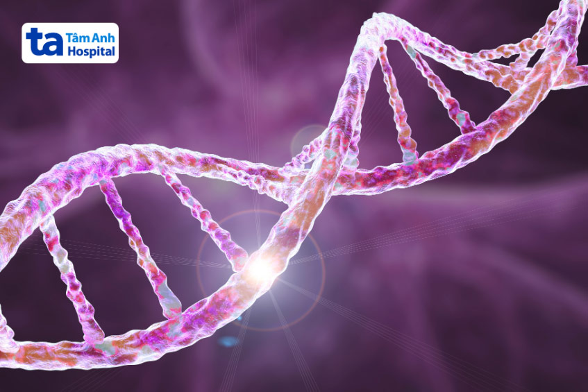 Bệnh tim di truyền từ bố sang con thường do đột biến một hoặc nhiều gen