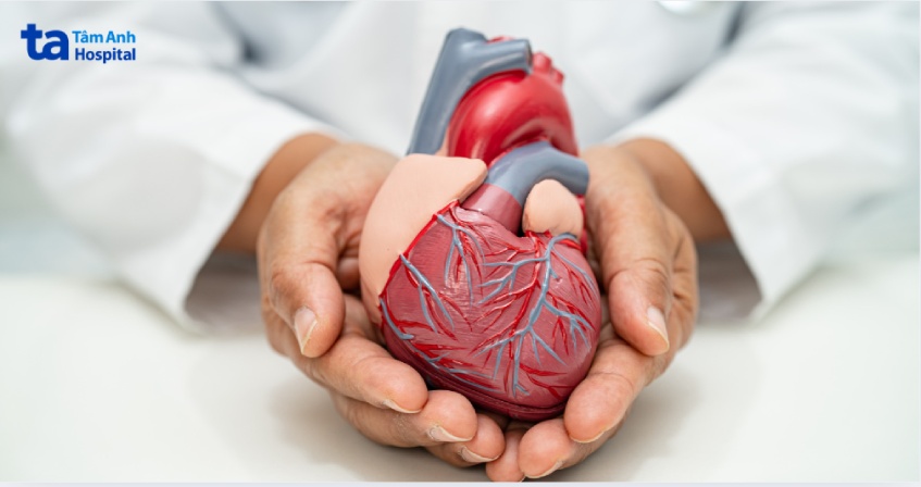 bệnh tim mạch cũng là nguyên nhân
