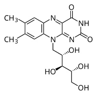 Cấu trúc phân tử Vitamin B2
