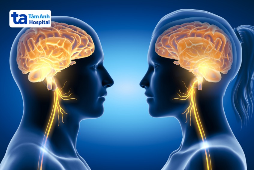 chức năng của 12 đôi dây thần kinh sọ