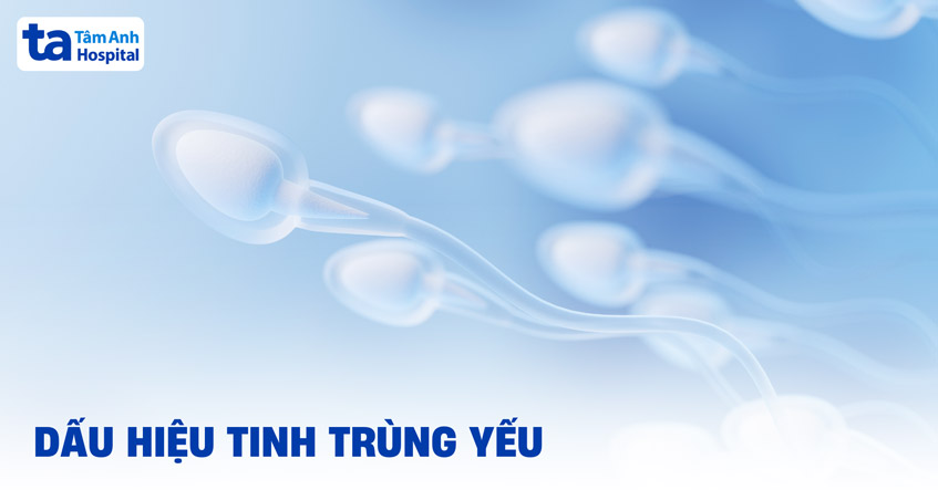 7 dấu hiệu tinh trùng yếu và cách nhận biết các biểu hiện