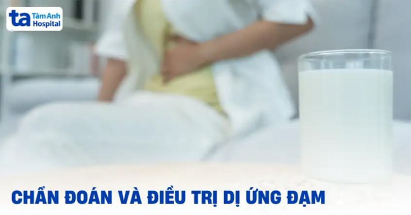 Dị ứng đạm là gì? Triệu chứng, cơ chế, chẩn đoán và các nguồn