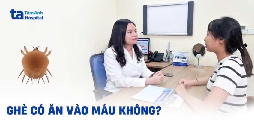 Bệnh ghẻ có ăn vào máu không? [Bác sĩ giải đáp chi tiết]