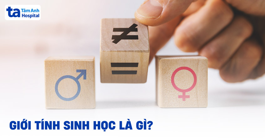 Giới tính sinh học là gì? Tổng hợp các kiến thức cần tìm hiểu
