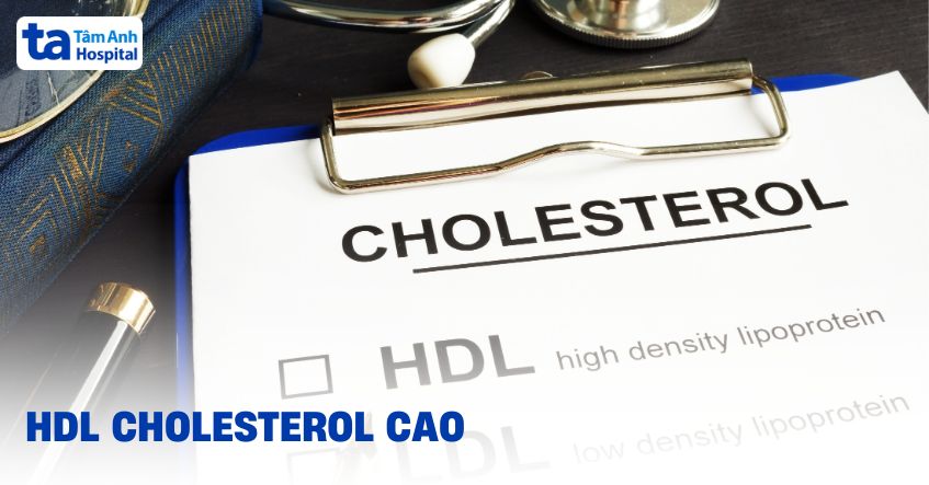 Chỉ số định lượng HDL cholesterol cao, các yếu tố ảnh hưởng