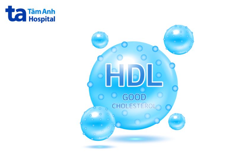 HDL cholesterol là cholesterol có lợi cho cơ thể