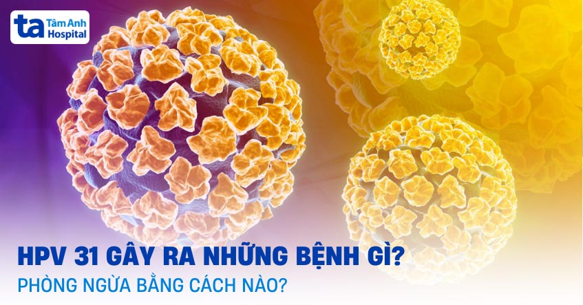 HPV 31 gây ra những bệnh gì? Phòng ngừa bằng cách nào?
