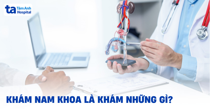 Khám nam khoa là khám những gì?