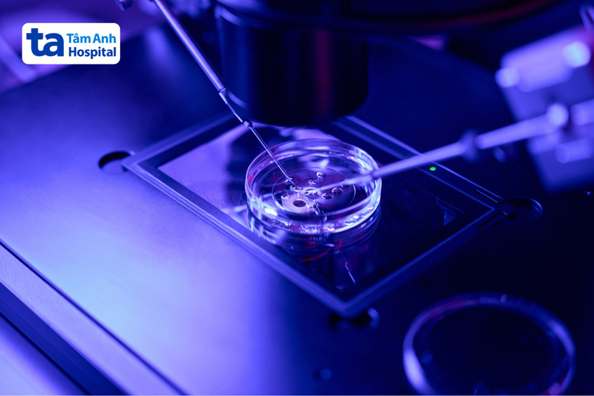 Miễn là đáp ứng đủ điều kiện để sinh thiết, phôi ngày 6 đều có thể sàng lọc