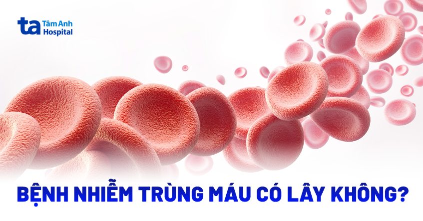 Bệnh nhiễm trùng máu có lây không? Cách điều trị và phòng ngừa