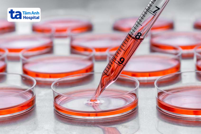 Phương pháp điều trị bệnh SCID