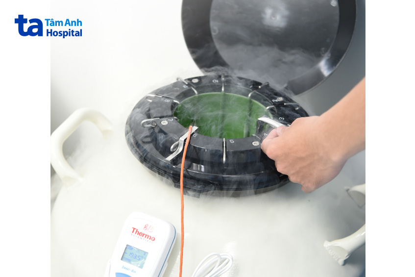 Rã đông phôi là quá trình phục hồi chức năng sống cho phôi đã đông lạnh trước đó