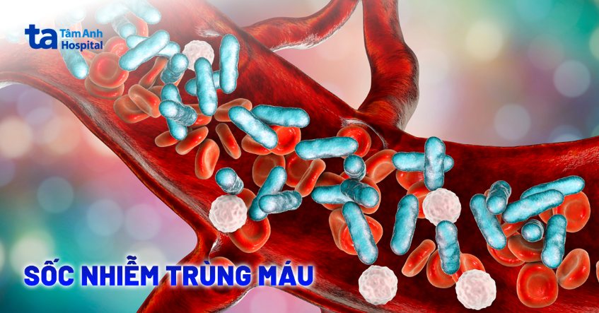 sốc nhiễm trùng máu