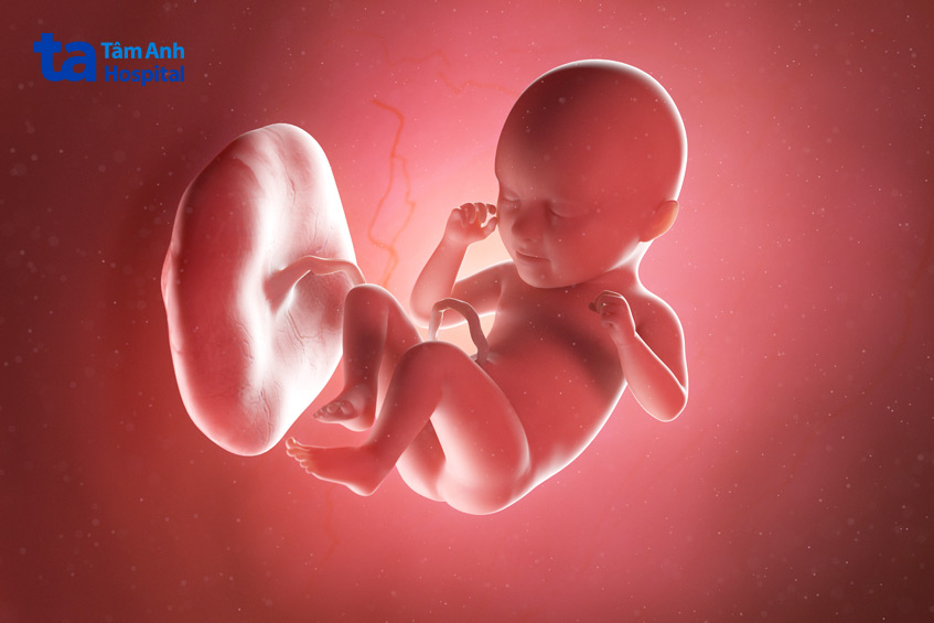 Suy tim thai là một trường hợp nguy hiểm có thể dẫn tới tử vong thai nhi nếu không được điều trị sớm
