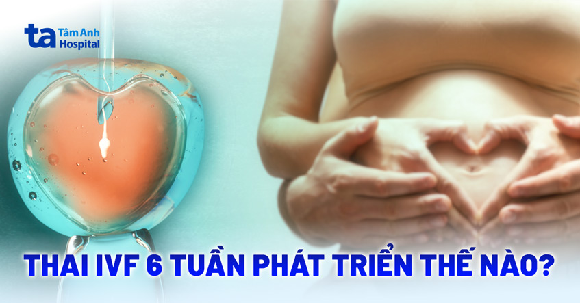 Thai IVF 6 tuần phát triển thế nào? Có giống thai kỳ tự nhiên?