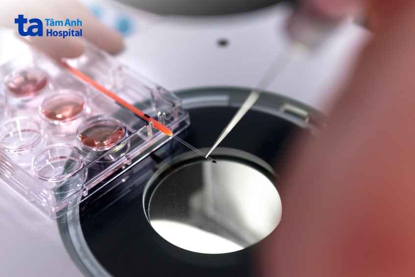 Quá trình rã đông phôi nhanh hay chậm tùy thuộc vào phương pháp đông lạnh phôi