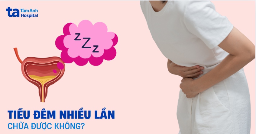 Tiểu đêm nhiều lần có sao không? Bao nhiêu là bình thường?