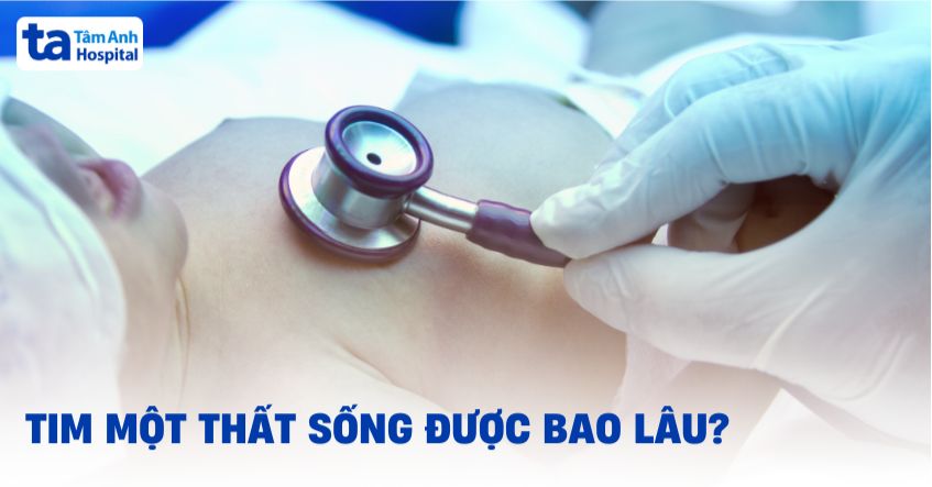 Tim một thất sống được bao lâu? Có yếu tố nào ảnh hưởng không?