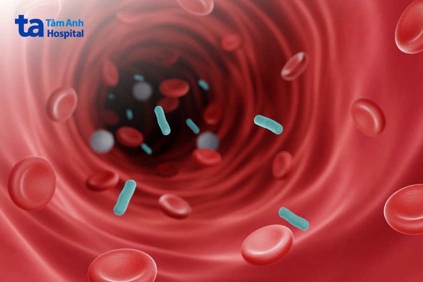 vi khuẩn và ký sinh trùng gây nhiễm trùng