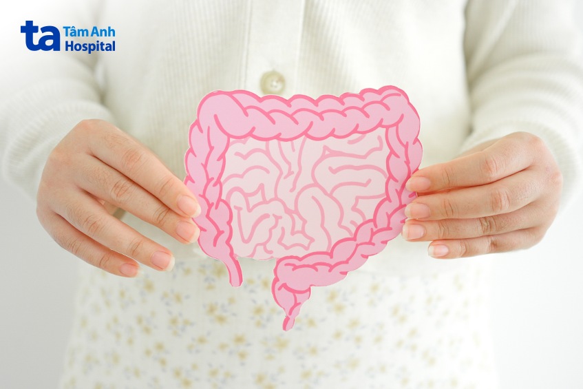 vị trí giải phẫu đại trực tràng