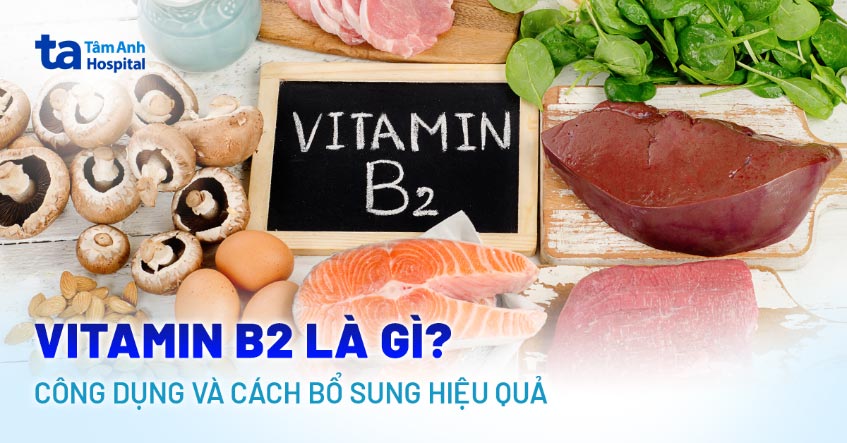 Vitamin B2 (Riboflavin) là gì? Công dụng, hình ảnh và công thức cấu tạo