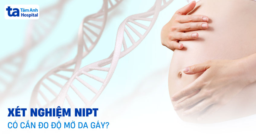 Làm xét nghiệm NIPT có cần đo độ mờ da gáy không? Sự khác biệt