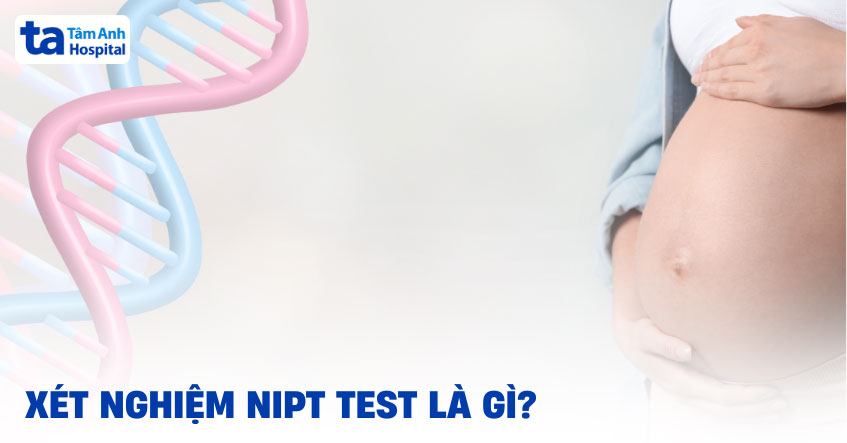 Xét nghiệm NIPT biết được những gì? Để làm gì? Những lưu ý khác