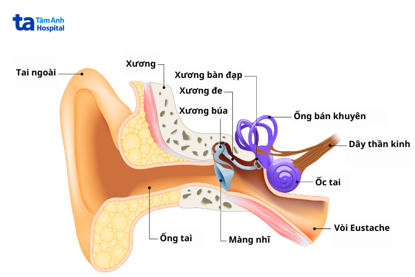 Phẫu thuật mở cửa sổ xương bàn đạp chữa điếc một bên tai