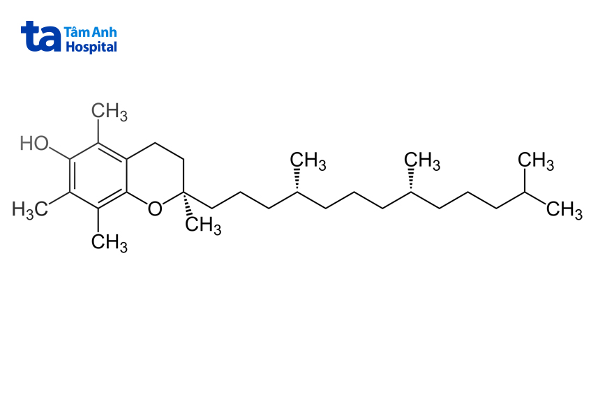 cấu trúc phân tử