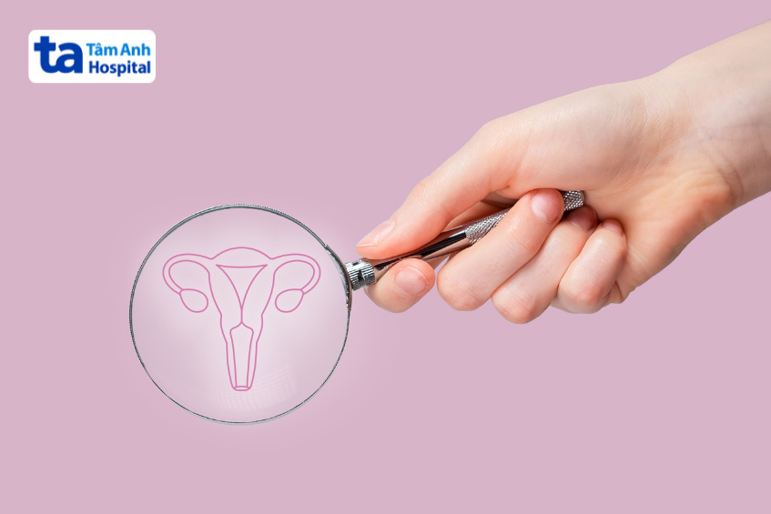 chức năng tử cung và sàng lọc di truyền phôi tiền làm tổ