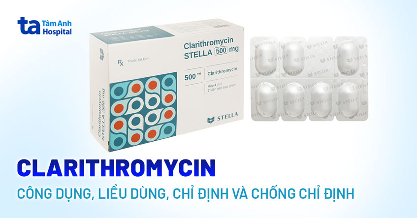 Clarithromycin: Công dụng, liều dùng, chỉ định và chống chỉ định