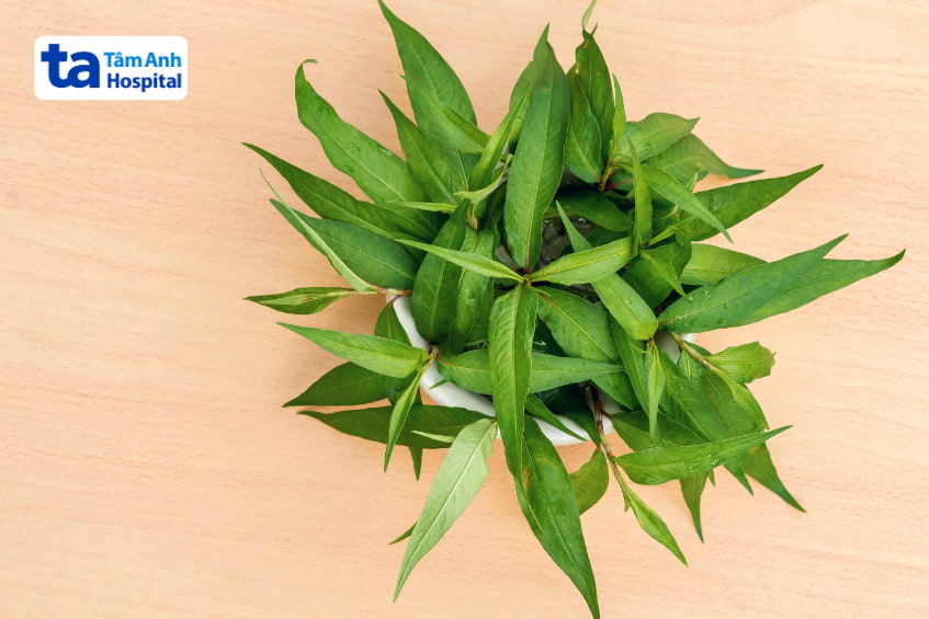 bầu ăn rau răm có sao không