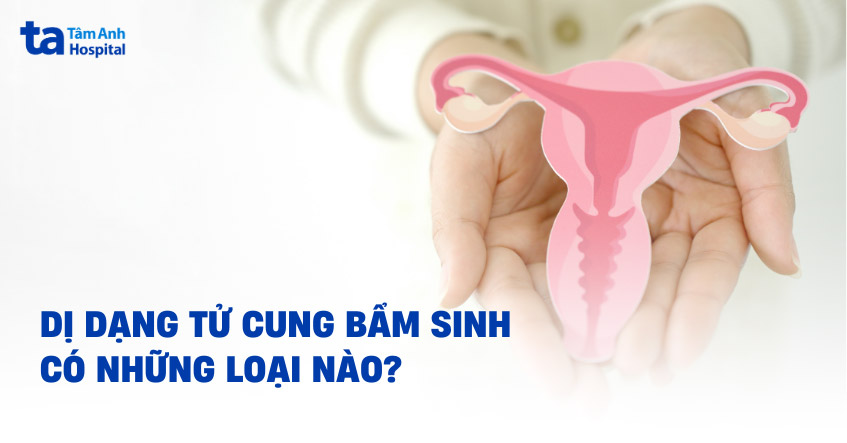 Dị dạng tử cung bẩm sinh có những loại nào? Nguy hiểm không?