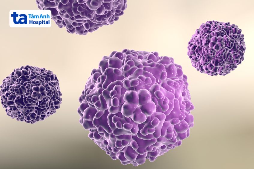 enterovirus a71 là tác nhân gây bệnh tay chân miệng