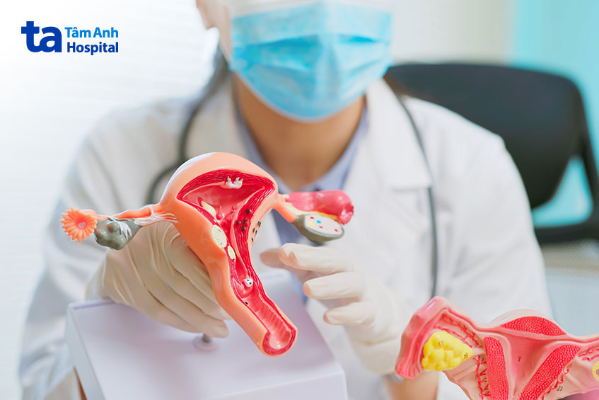 giữ ẩm và bảo vệ vùng kín khỏi vi khuẩn