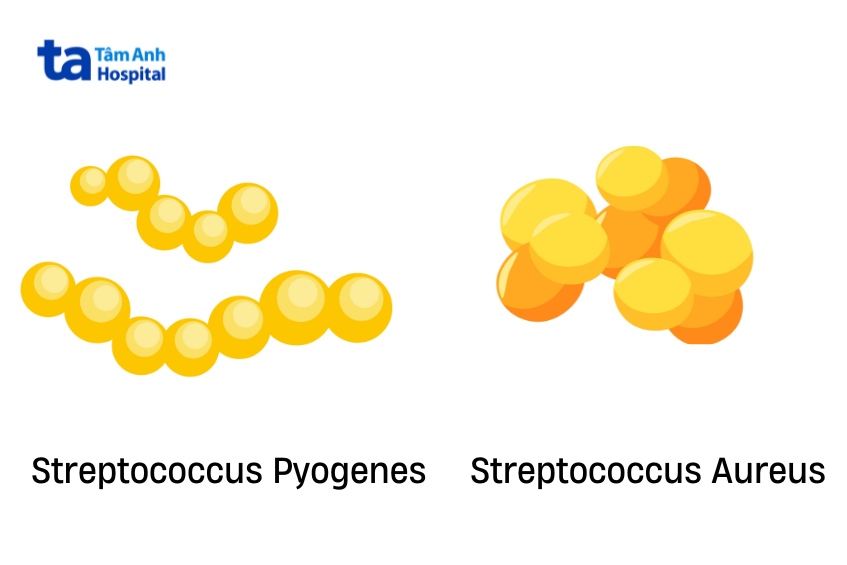 hai tác nhân phổ biến gây nhiễm trùng rốn ở trẻ sơ sinh