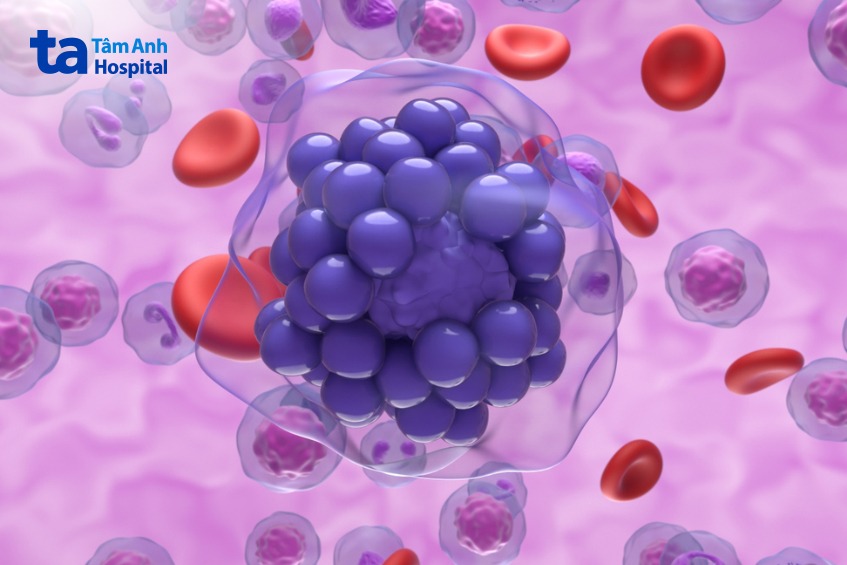 hình minh họa tế bào b