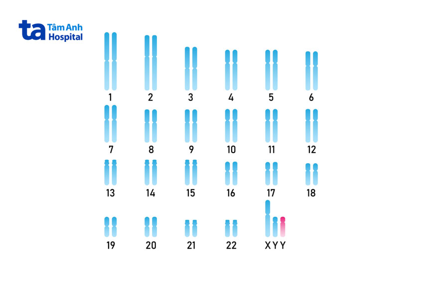 jacobs là hội chứng chỉ xảy ra ở nam giới
