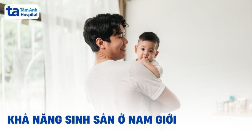 Khả năng sinh sản nam giới gồm những yếu tố nào quyết định?